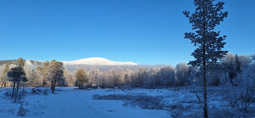 Svenさんのそらよみ　2025/04/21　スウェーデン Jämtlands län