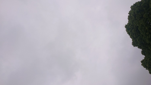 みとざわ来てるよさんのそらよみ　2025/05/17　日本 大阪