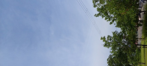 やんけさんのそらよみ　2025/05/18　日本 奈良