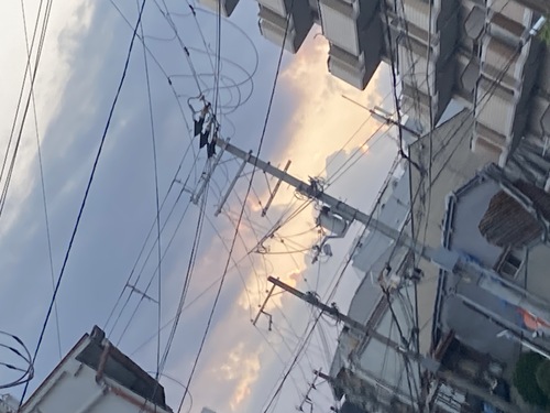 みるはさんのそらよみ　2025/07/29　日本 大阪
