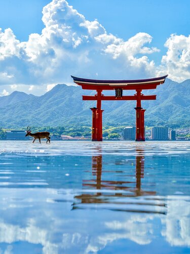 popoさんのそらよみ　2025/08/04　日本 広島