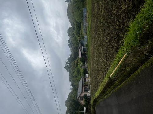 ももはなさんのそらよみ　2025/08/07　日本 宮崎