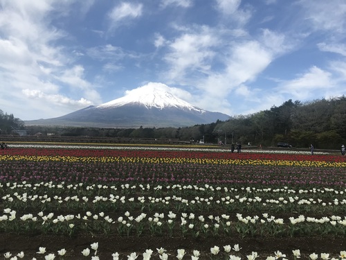 かっきーさんのそらよみ　2025/08/19　日本 静岡