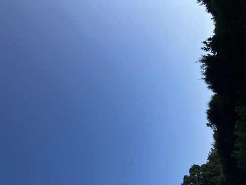 かいかいさんのそらよみ　2025/08/26　日本 熊本